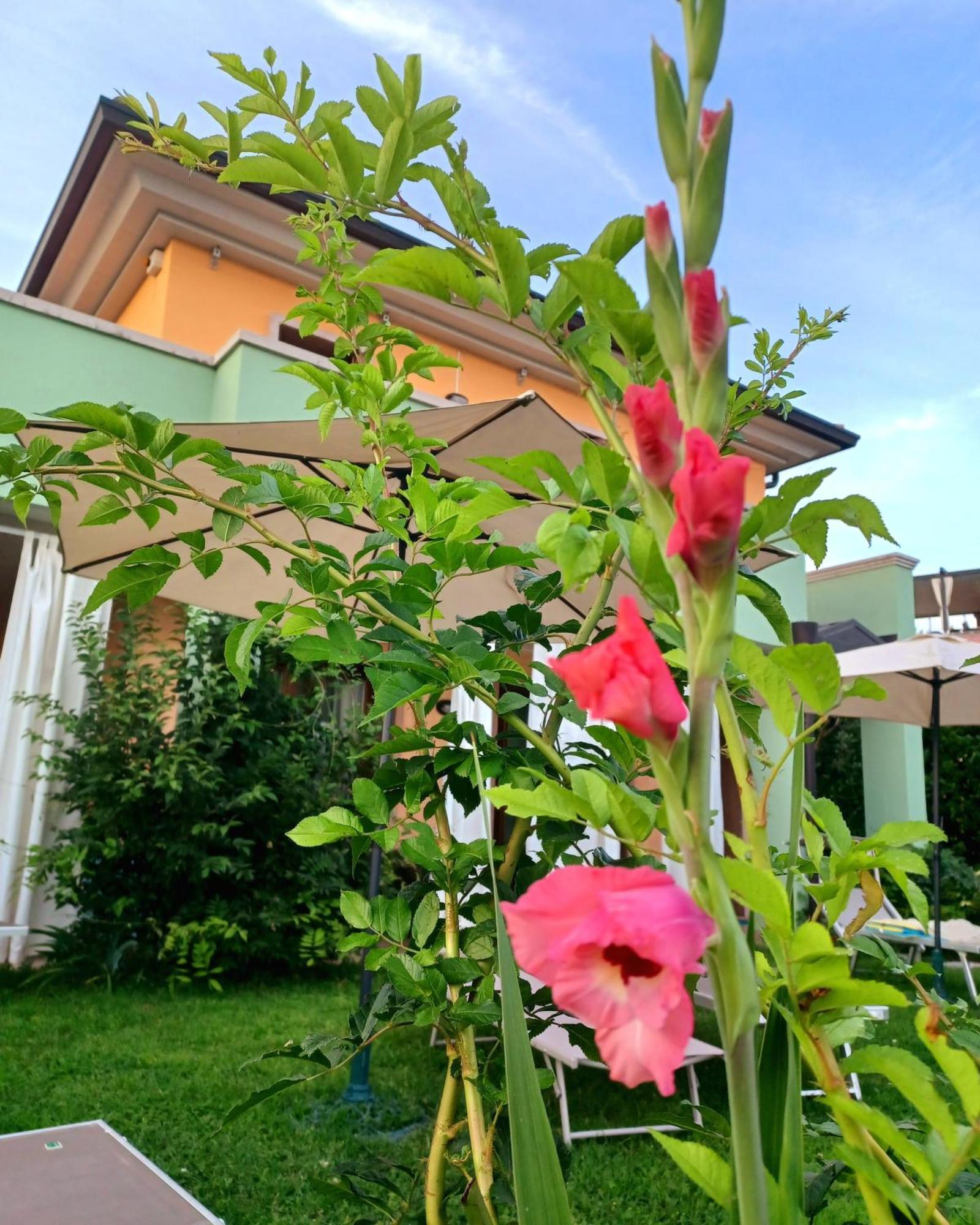 Regina Gardesana Villa Exterior photo